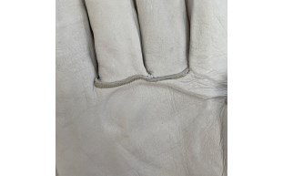 7211PPLCAQ_4.jpg
