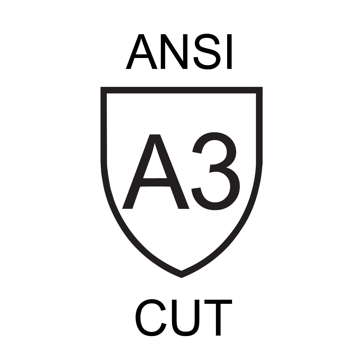 A3